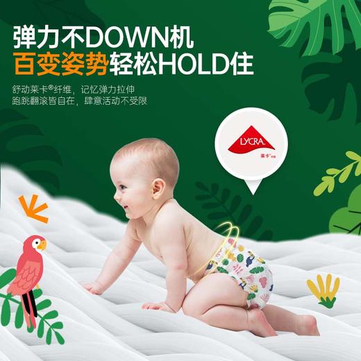 【试用装5片】碧芭宝贝森罗秘境系列纸尿裤拉拉裤试用装 商品图2