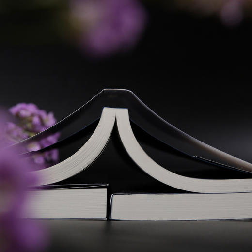 夜航船  全本全译（插图典藏版，余秋雨教授大力推荐，张岱挚友陈洪绶经典插图本，三百多年前的百科全书，中国文人眼中的大千世界） 商品图4