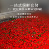 红柳沟红枸杞子宁夏头茬特级500g 免洗大果泡茶养生 送教师节礼物 商品缩略图1