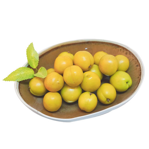 【山东.五村一杏】新鲜采摘，泰山脚下珍珠油杏，鲜嫩多汁，香甜如蜜，开胃解腻，越吃越想吃~ 商品图4