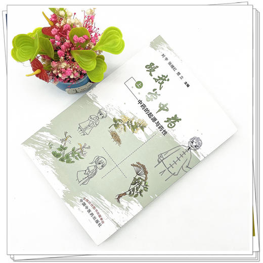 跟我学中药(上)中药起源与药性 刘宇 张继红 楚立 著 中国中医药出版社 中药学书籍   商品图2