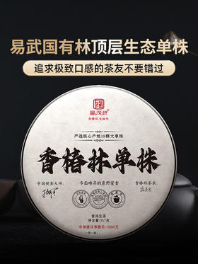 【香椿林单株】严选签约茶地18颗大单株  2023年云南普洱生茶易武国有林香椿林古600单株357g饼茶