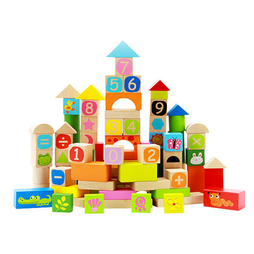 可来赛儿童花园积木益智系列100片彩色积木可啃咬婴儿积木1-6岁大颗粒木制拼搭益智玩具 商品图1