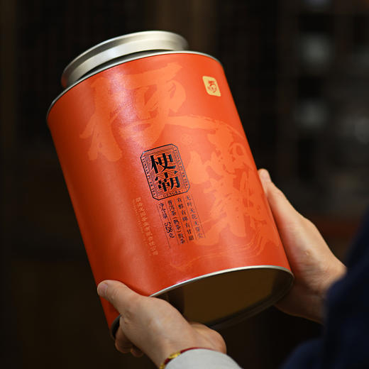 龙园号梗霸普洱熟茶528克 商品图2