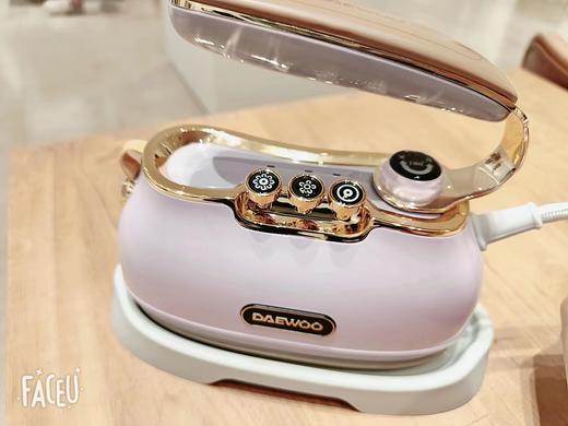 大宇熨烫机手持挂烫机熨斗家用小型蒸汽便携式迷你烫衣服神器 商品图2