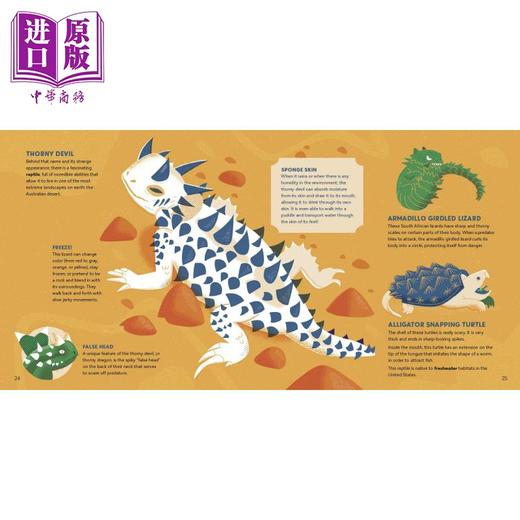 【中商原版】Amazing Animals Around the World 惊奇的各国动物 英文原版 进口图书 儿童科普绘本 动物百科知识图书 自然科学 商品图5