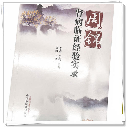 周锦肾病临证经验实录 李涛 李航 主编 中国中医药出版社 中医临床 书籍 商品图4