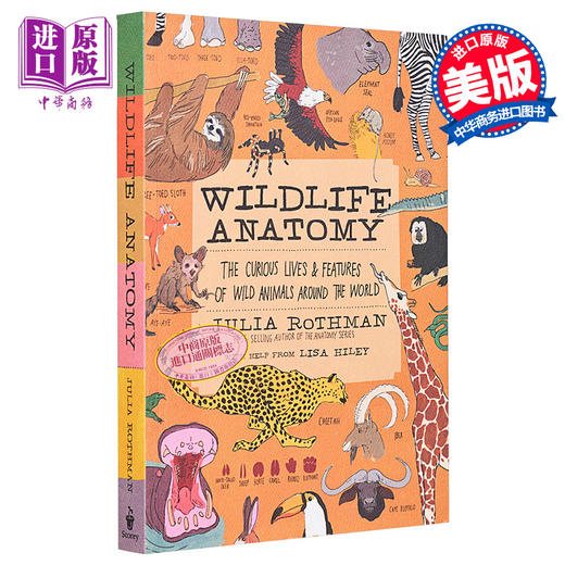 【中商原版】Julia Rothman 野外生活解剖学 Wildlife Anatomy 手绘书 大自然解剖书科普书绘本作者 英文原版 百科 自然 科学 商品图1
