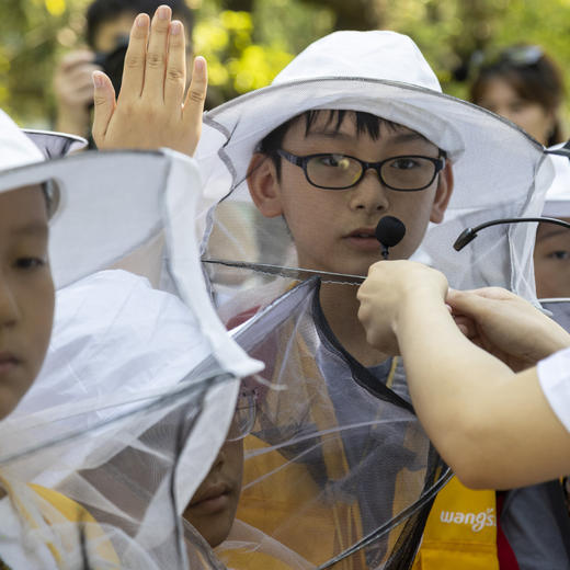 快乐假期，甜蜜之旅----汪氏蜜蜂园科普研学探蜜营购买链接 商品图6