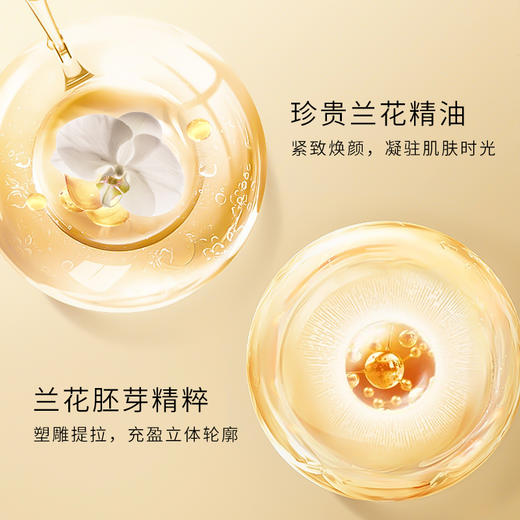 【双12大促】嘉媚乐臻兰御容高奢系列+限定礼遇  紧致抗皱 抚平细纹  润泽护肤套装 商品图11