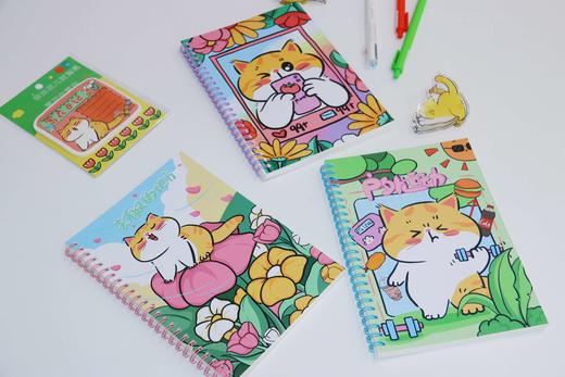 番茄口袋原创线圈本 商品图11