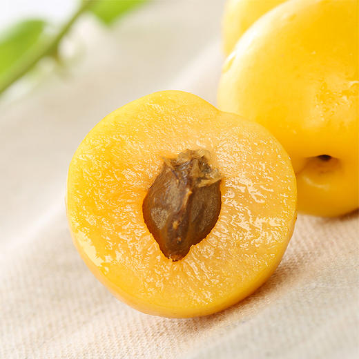 【山东.五村一杏】新鲜采摘，泰山脚下珍珠油杏，鲜嫩多汁，香甜如蜜，开胃解腻，越吃越想吃~ 商品图0