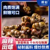 拼团|螺魁麻辣田螺   鲜味十足  肉质紧实  麻辣爽口  500g/袋*5袋 商品缩略图3