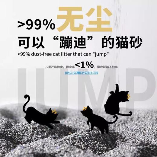洁客天然钠基矿石猫砂活性炭除臭吸水结团矿石膨润土猫砂4.09kg 商品图3
