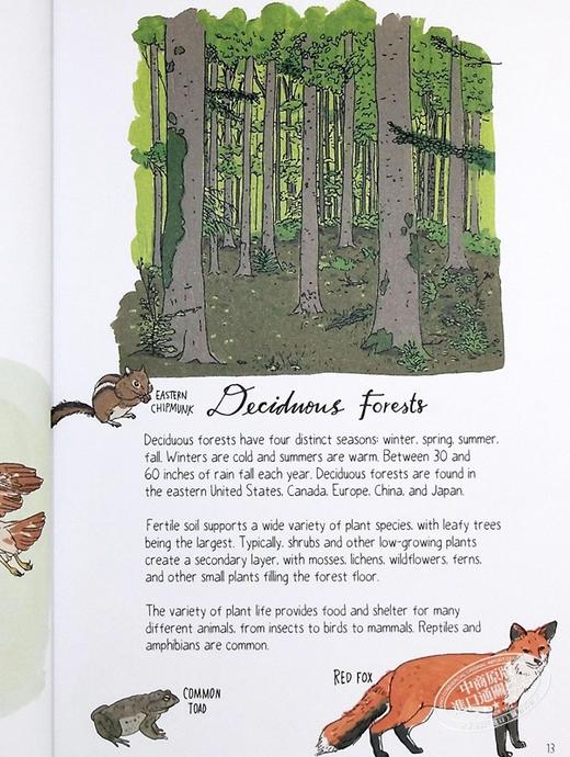 【中商原版】Julia Rothman 野外生活解剖学 Wildlife Anatomy 手绘书 大自然解剖书科普书绘本作者 英文原版 百科 自然 科学 商品图5