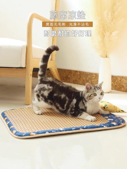 猫咪狗狗凉席宠物狗垫子睡觉用夏天睡垫地垫四季通用猫窝藤编用品 商品图4