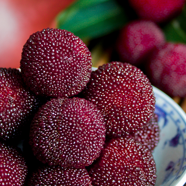 【福建外运】初夏第一鲜！漳州浮宫杨梅 东魁杨梅 约4-4.3斤