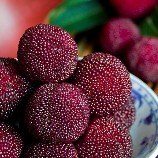 【福建外运】初夏第一鲜！漳州浮宫杨梅 东魁杨梅 约4-4.3斤 商品图0