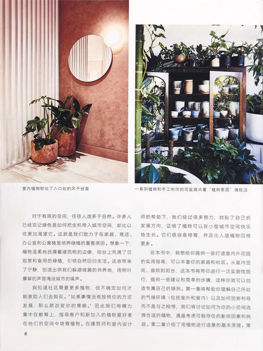 室内外小型空间植物造景【园艺学会】 商品图2