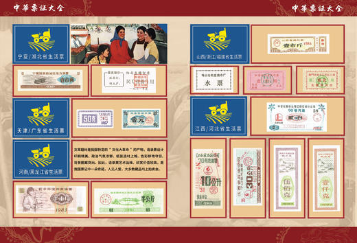 《中华票证大全》粮票、布票、生活票证精品 商品图4
