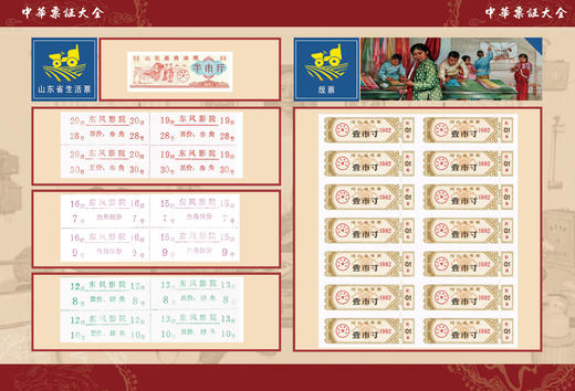 《中华票证大全》粮票、布票、生活票证精品 商品图6