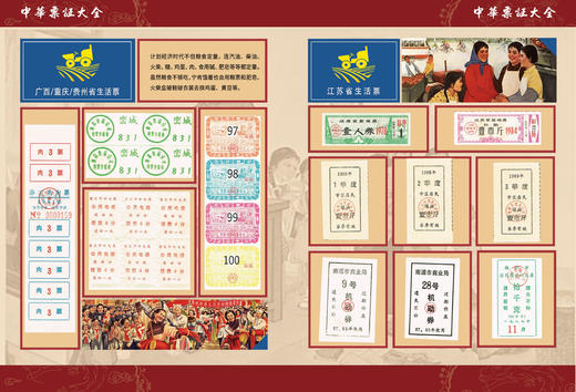 《中华票证大全》粮票、布票、生活票证精品 商品图8