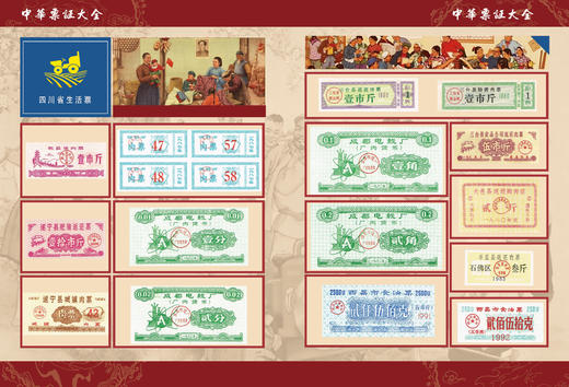 《中华票证大全》粮票、布票、生活票证精品 商品图7