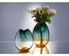 炫彩渐变- 北欧透明玻璃花瓶-- 双色球 商品缩略图3