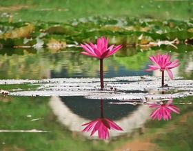 爱拍照的朋友注意！3步拍出被赞爆的绝美照片，后悔知道太晚