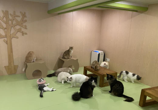 多规格电子卡券 商品图0