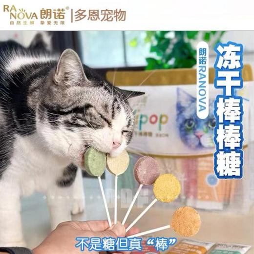 【热销百万】朗诺冻干棒棒糖猫咪零食高蛋白磨牙洁齿1.4g 商品图0