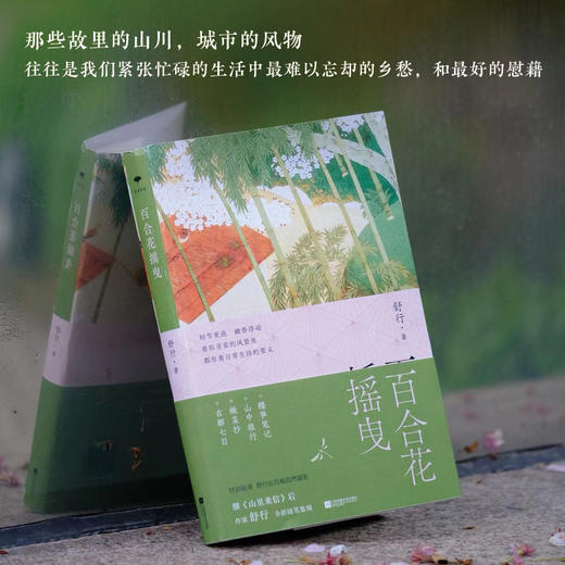 百合花摇曳（继山里来信后，豆瓣人气作家舒行，全新随笔集锦。过好恒常如新的每一天，如百合花摇曳，一身轻盈地去生活。特别收录：舒行近百幅自然摄影）(舒行) 商品图2
