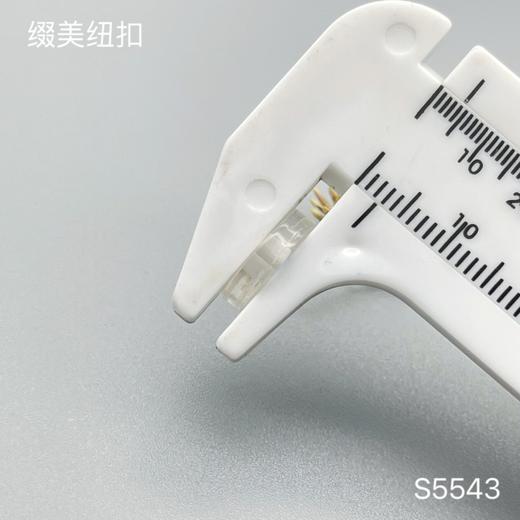 S5543(整包购买) 商品图3