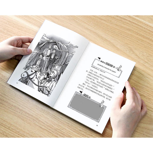 少年探案王（最强大脑版）·狂野西部的淘金热（德国最受欢迎的儿童冒险科普小说）([德]法比安·蓝柯) 商品图4