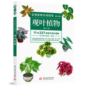 景观植物实用图鉴（第4辑）：观叶植物  9787568041119  华中科技大学出版社