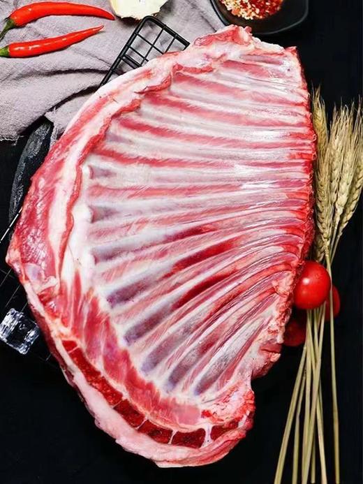 青海正宗草膘羊羊排5斤 青藏藏羊排（正宗青海原产地）2500g 真空冷链包邮佰客基 商品图0