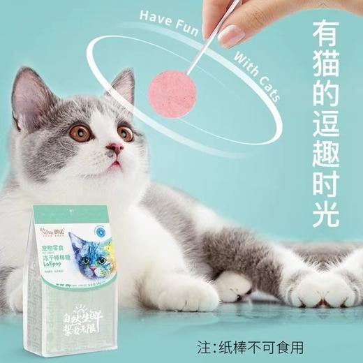 【热销百万】朗诺冻干棒棒糖猫咪零食高蛋白磨牙洁齿1.4g 商品图3