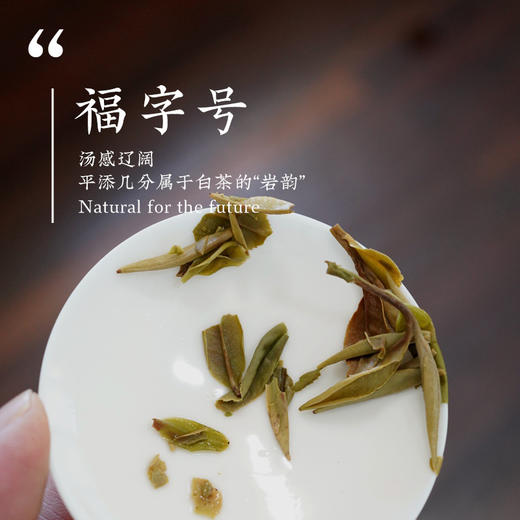 明前特级福字号白牡丹  太姥山北岩老基地出品 福鼎白茶白茶礼盒 商品图3