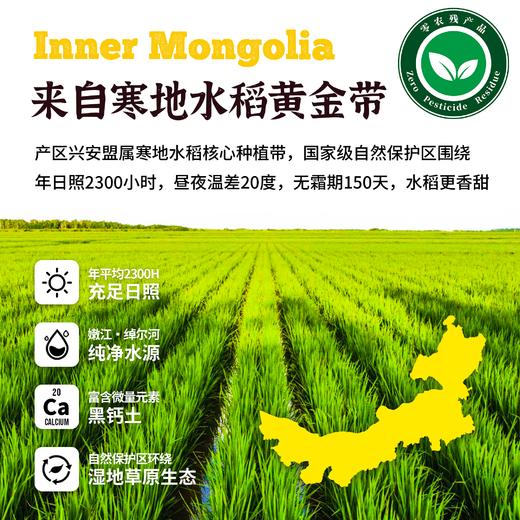 内蒙古银珠大米10斤装 商品图1