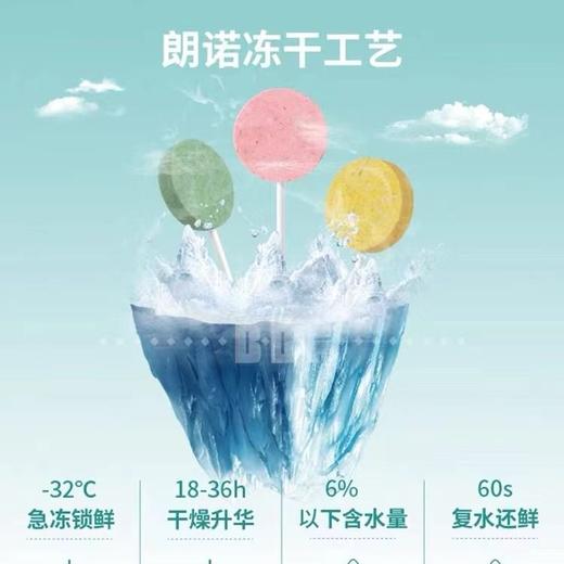 【热销百万】朗诺冻干棒棒糖猫咪零食高蛋白磨牙洁齿1.4g 商品图2
