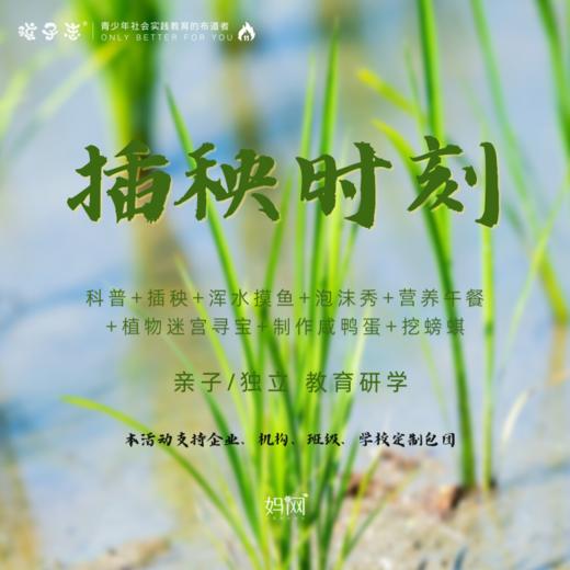 孩子志 | 插秧时刻 独立/亲子 农趣教育旅行，科普、插秧、浑水摸鱼、泡沫秀、营养午餐、植物迷宫寻宝、制作咸鸭蛋、钓龙虾... 商品图0