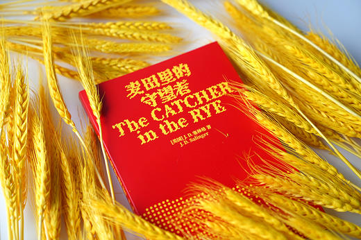 麦田里的守望者 商品图2