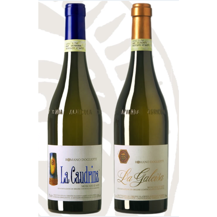 “柯丽娜/佳丽莎”夏季组合