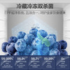 海尔（Haier）冰箱 BCD-505WGHTD14S8U1 商品缩略图4
