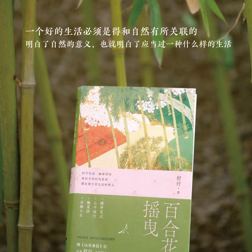 百合花摇曳（继山里来信后，豆瓣人气作家舒行，全新随笔集锦。过好恒常如新的每一天，如百合花摇曳，一身轻盈地去生活。特别收录：舒行近百幅自然摄影）(舒行) 商品图3