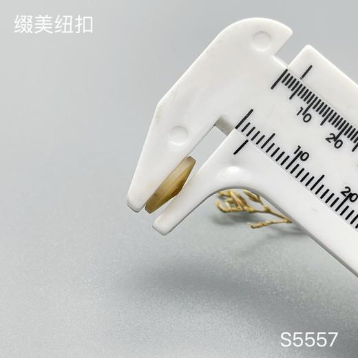 S5557(整包购买) 商品图5