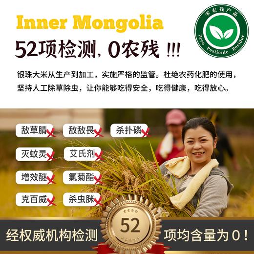 内蒙古银珠大米10斤装 商品图4
