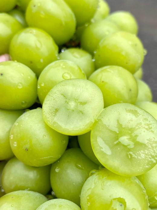 云南阳光玫瑰青 | 颗颗精选，新鲜完好，脆甜爆汁！果肉饱满Q弹，冲刷着味蕾，浓郁的玫瑰香，开团价格不过150实现阳光玫瑰自由 商品图2