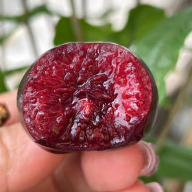 顺风包邮到家！！五一节特惠！大连基地樱桃🍒超大果3J🍒🍒🍒果径30-32，一盒3斤！劲爆价199！全国顺丰包邮到家！！新开棚，果子品质高，甜！