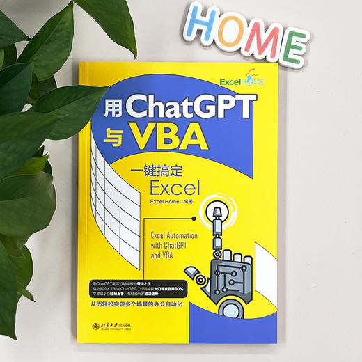 用ChatGPT与VBA一键搞定Excel Excel Home 北京大学出版社 商品图2